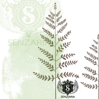 Трафарет - Пузырник дайка